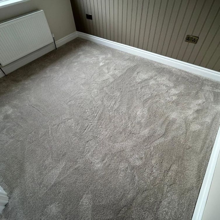 grey carpet